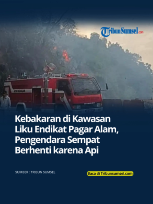 @Tribun Sumsel