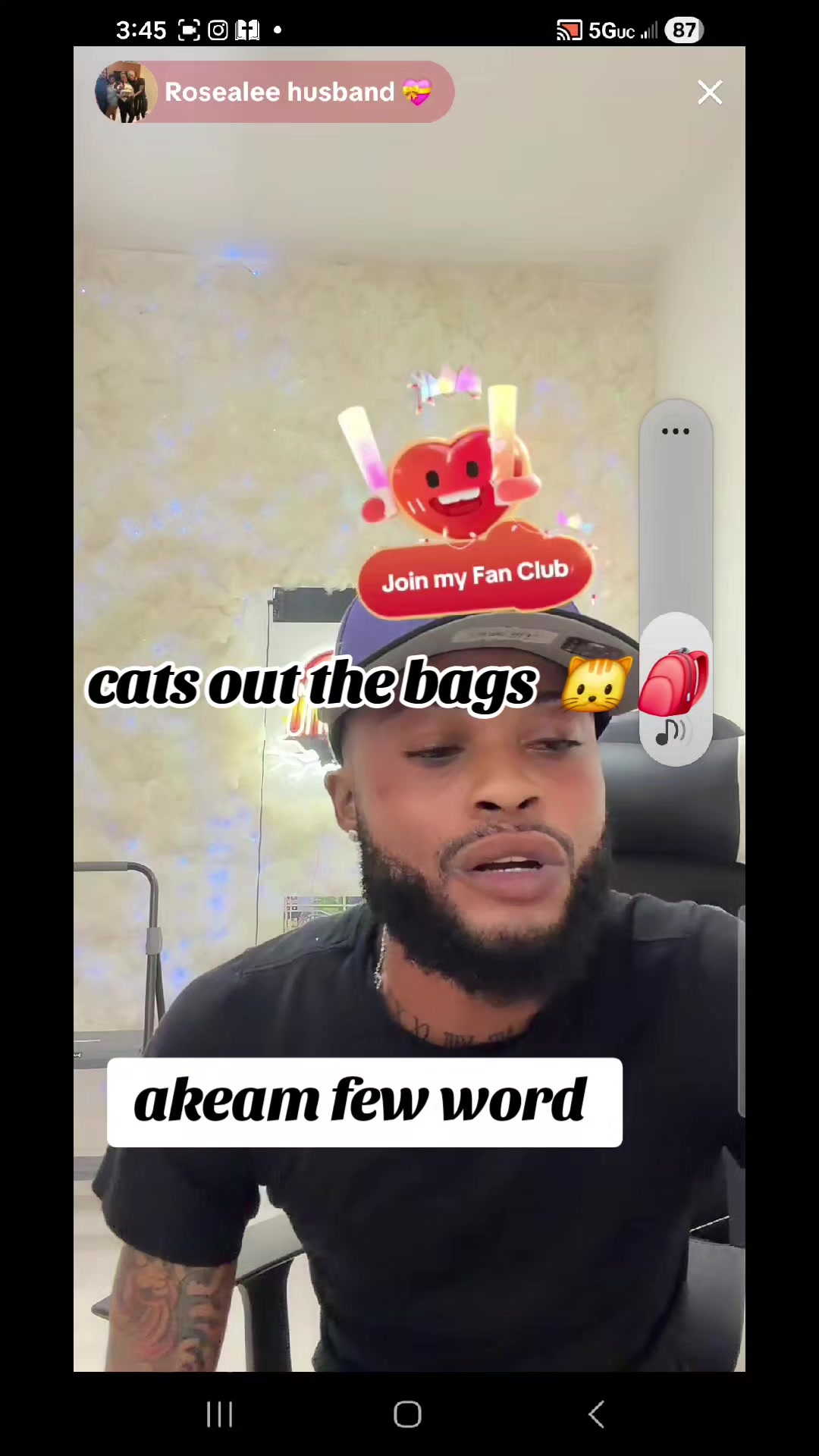 @cats out  the bags 🐱🐱🐱🐱🐱