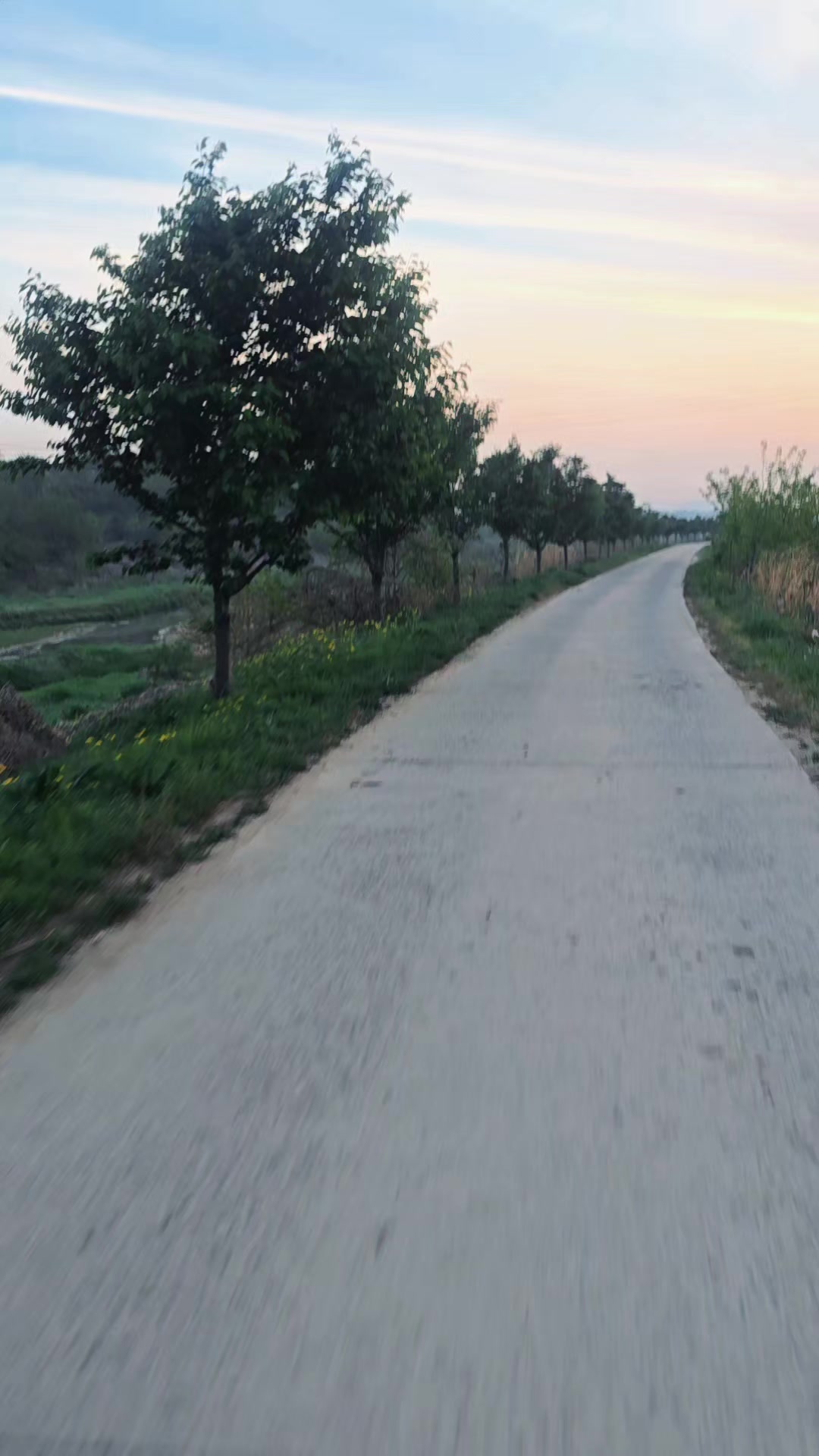 @김 kim 🇰🇷..