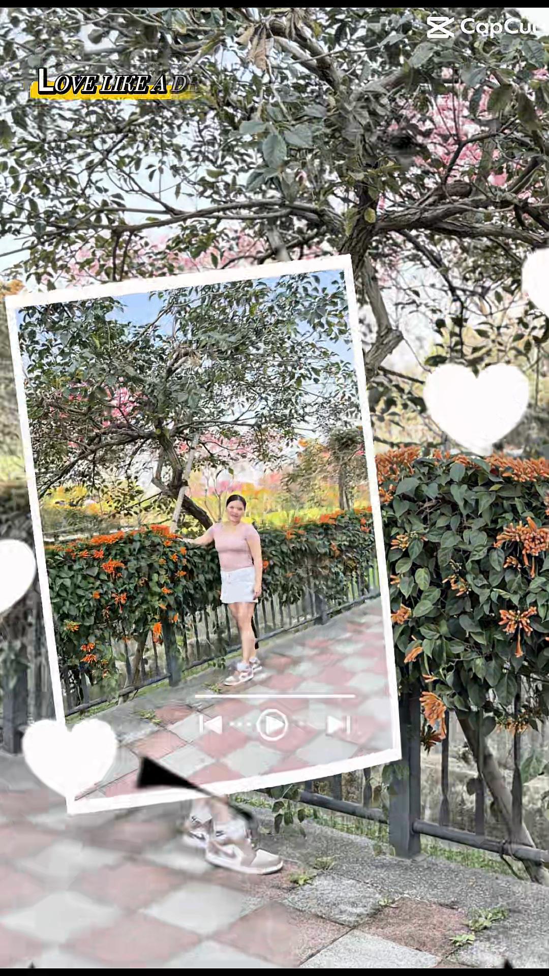 @伊洛纳🇹🇼