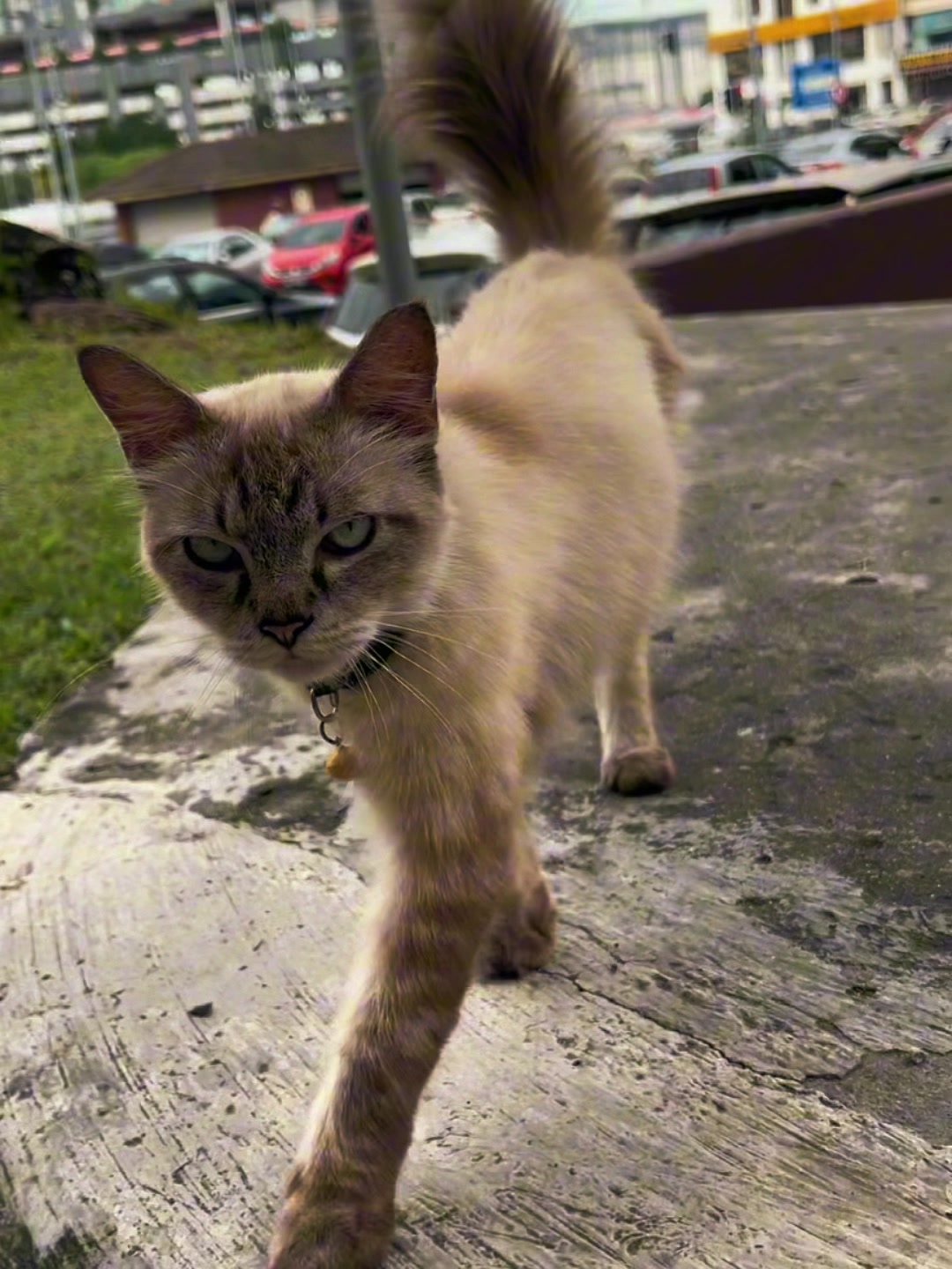@𝐌𝐒𝐑⁰⁴