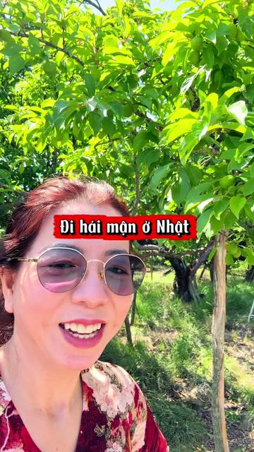 @My Oda 🇻🇳🇯🇵
