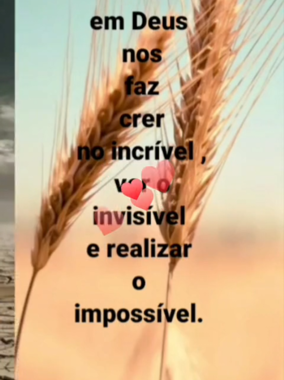@marlysilva