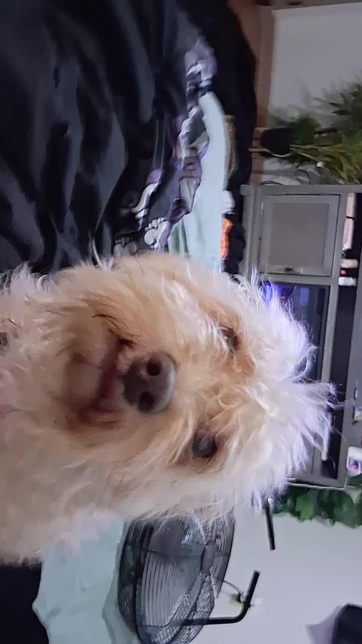 @Angel