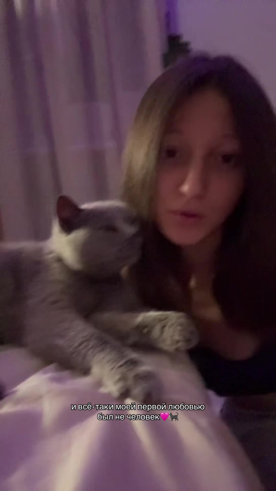 @вивик