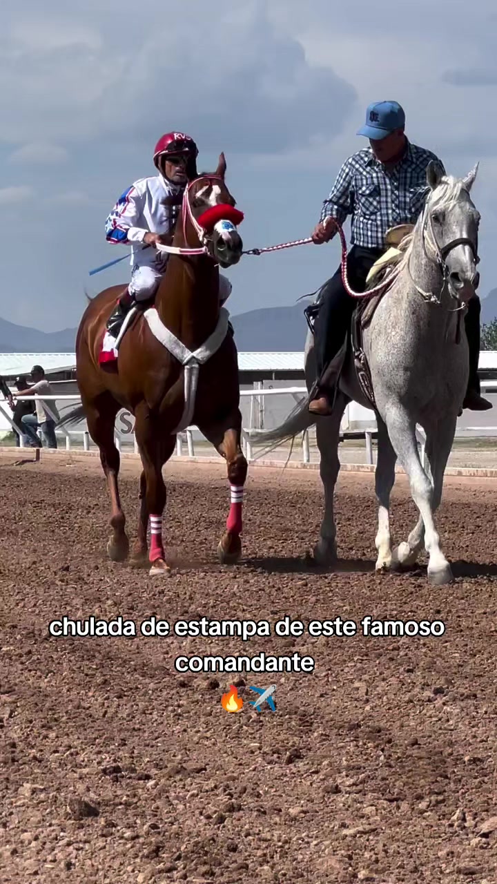 @carriles altos de jalisco🐎