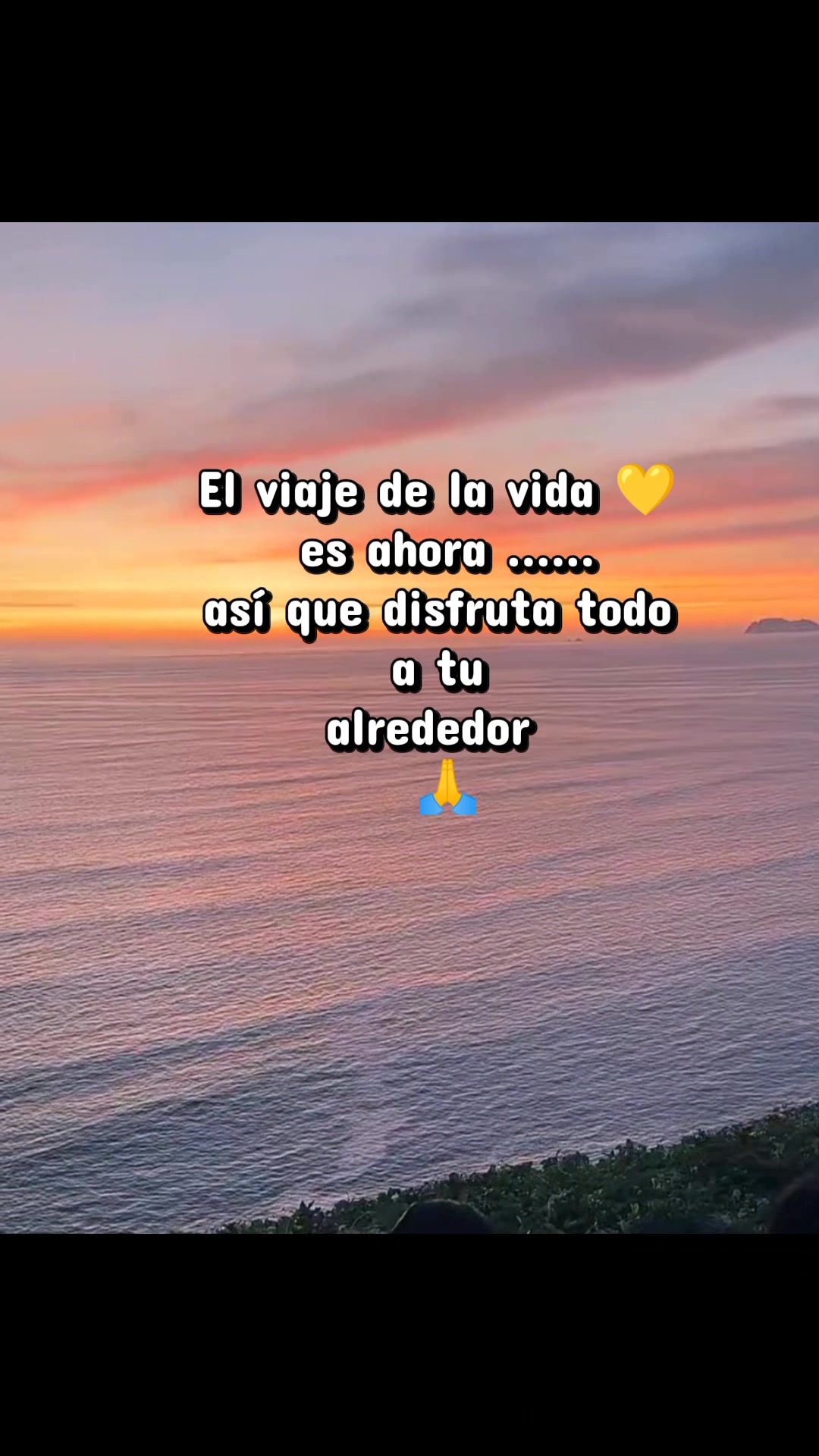 @Barbara te sigue