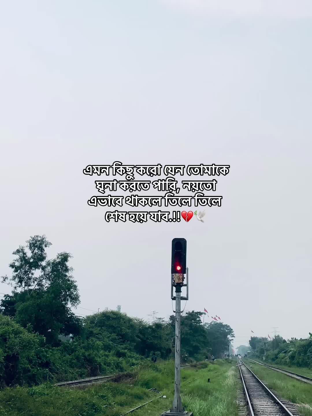 @Zι нᴀᴅ ⚡