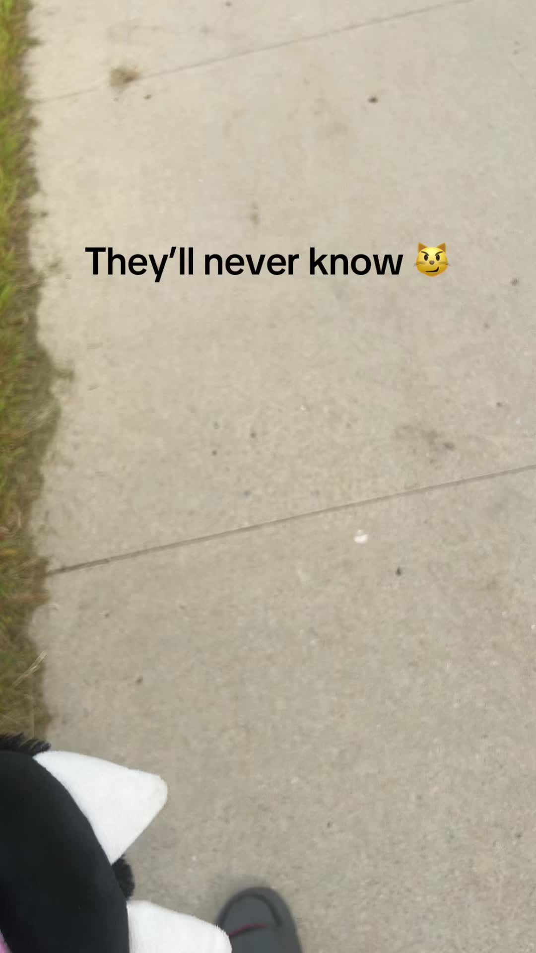 @ROS&Egrave;THEGREAT