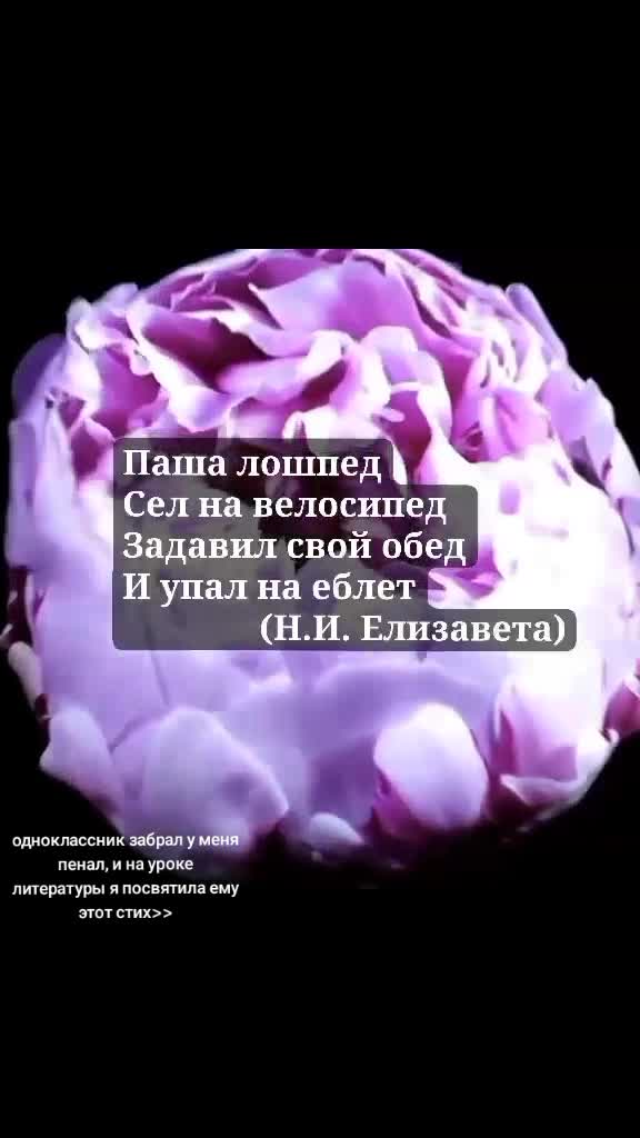 @Lixzz4_Ni8a
