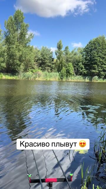 @🇧🇾Денис Занкевич🇧🇾Brest😎