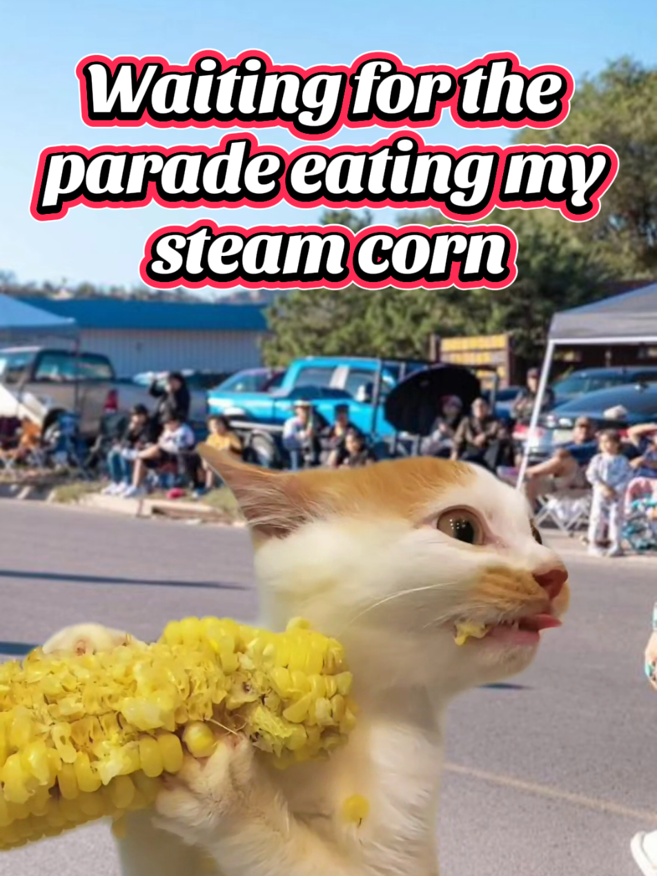 @𝓛𝔂𝓷𝓷 🌺