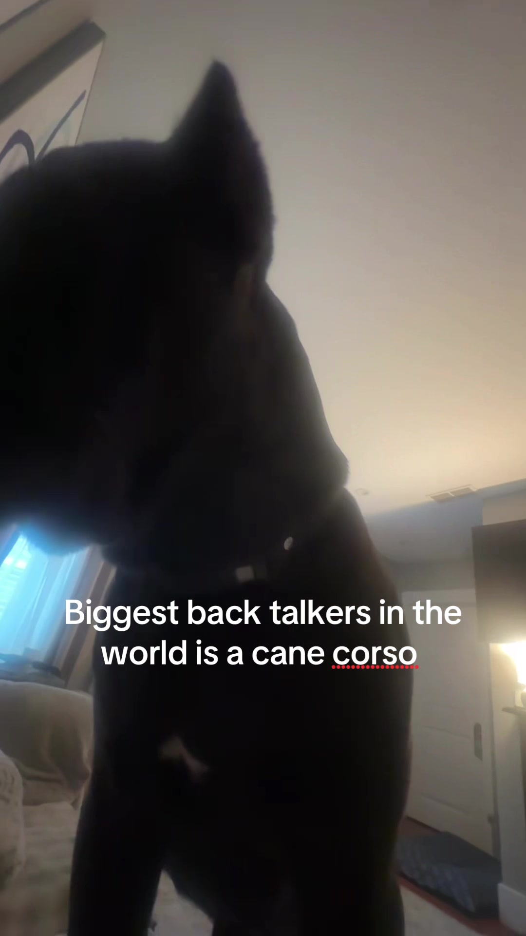 @Cait G