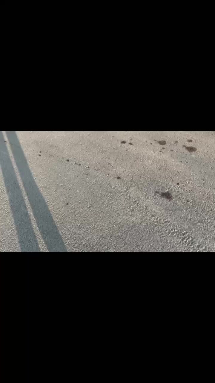 @JIANBO_45