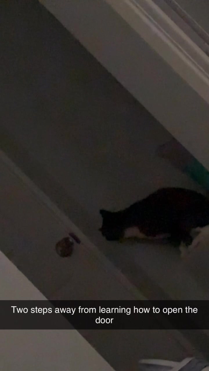 @5559275555