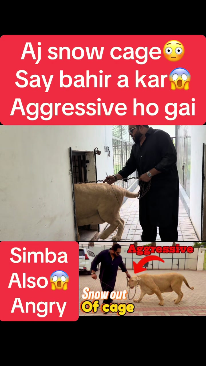 @Mian saqib
