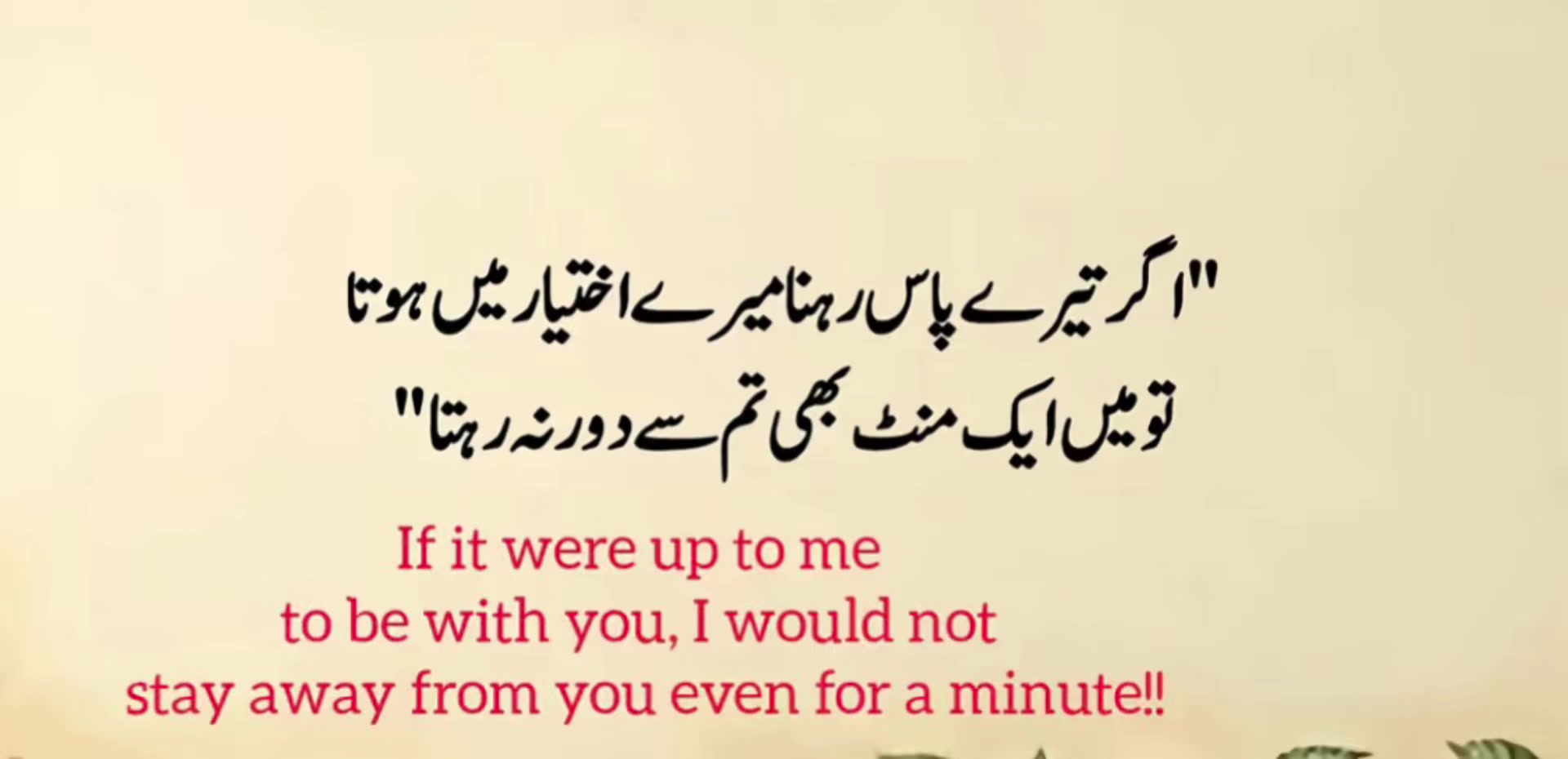 @zulfiqarzaka