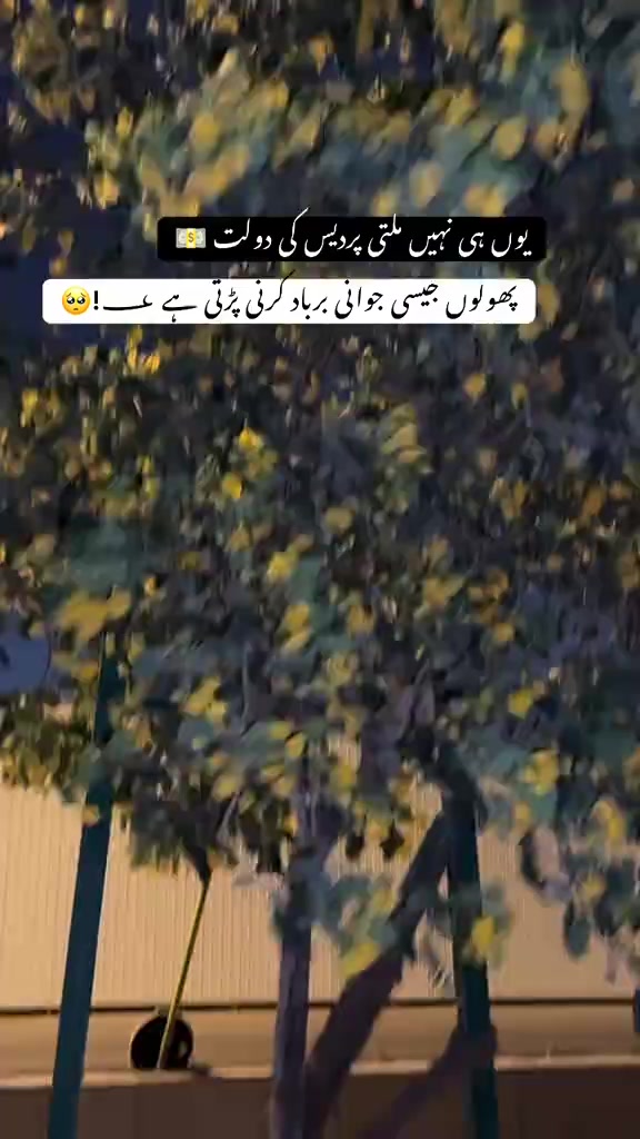 @Mrs Shahbaz 🙈❤️