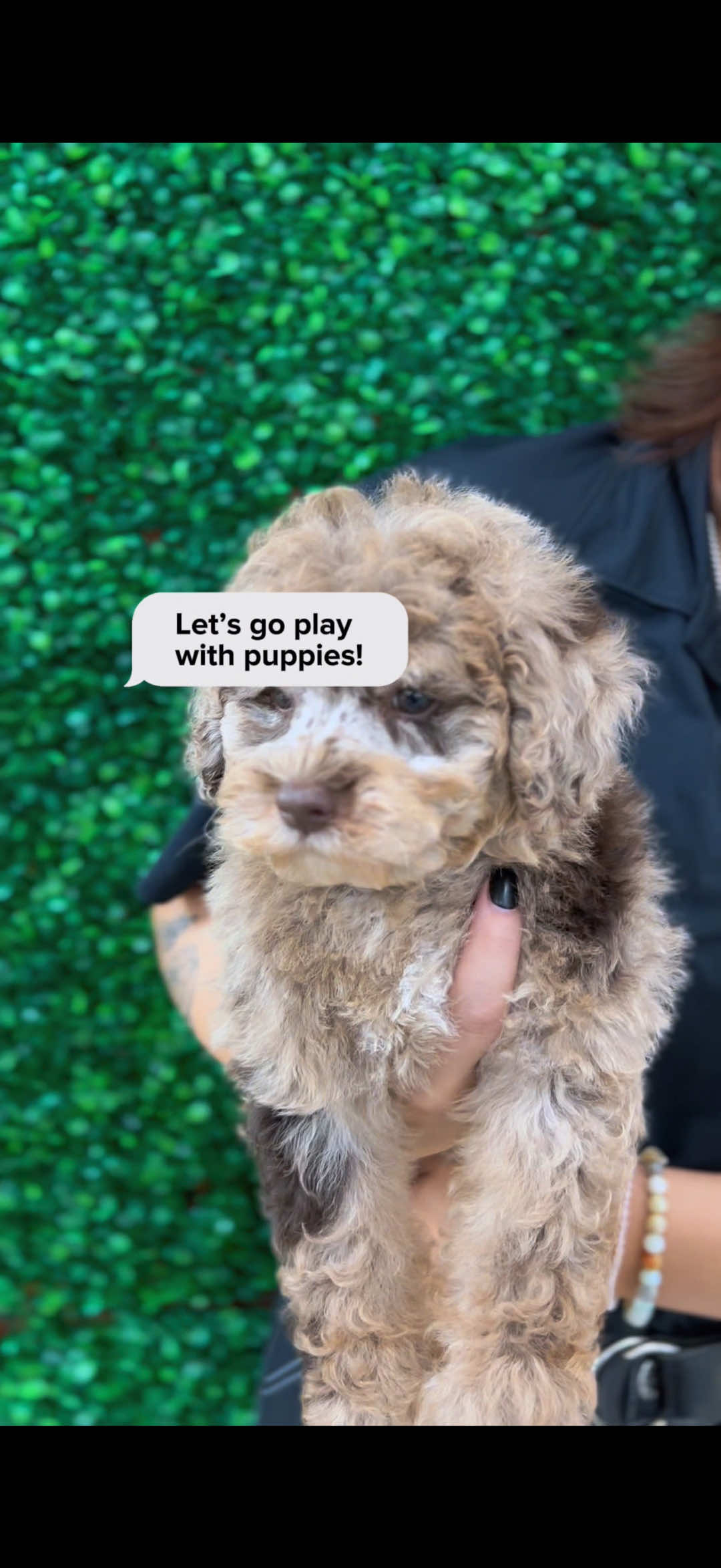 @Petland Oklahoma City