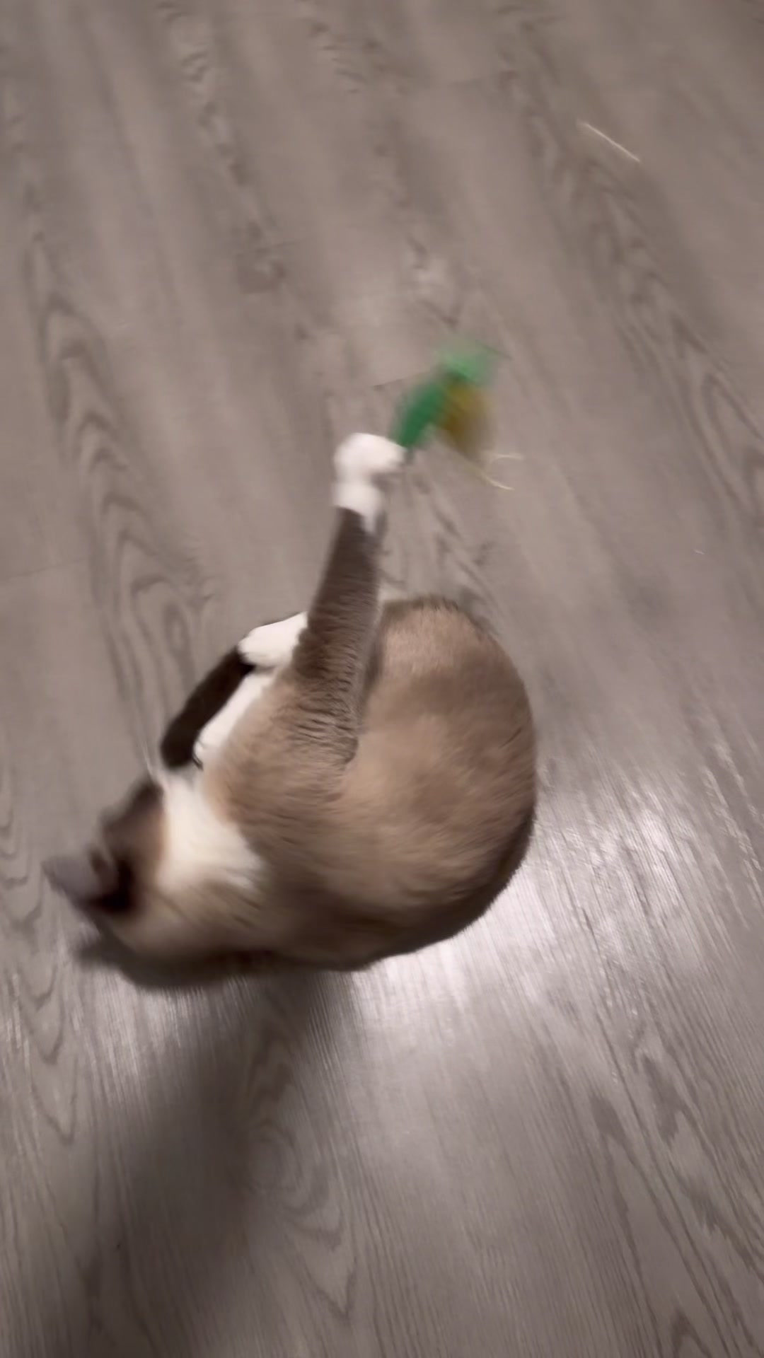 @Mel