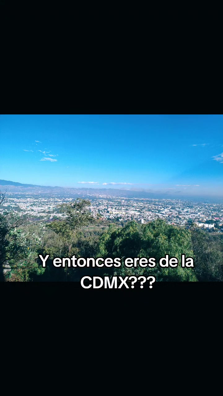 @Mini bosque
