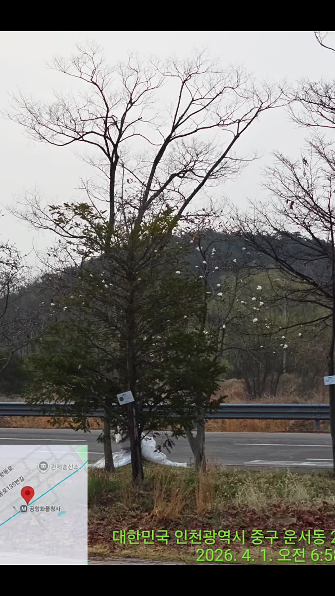 @🍊김영철🍊