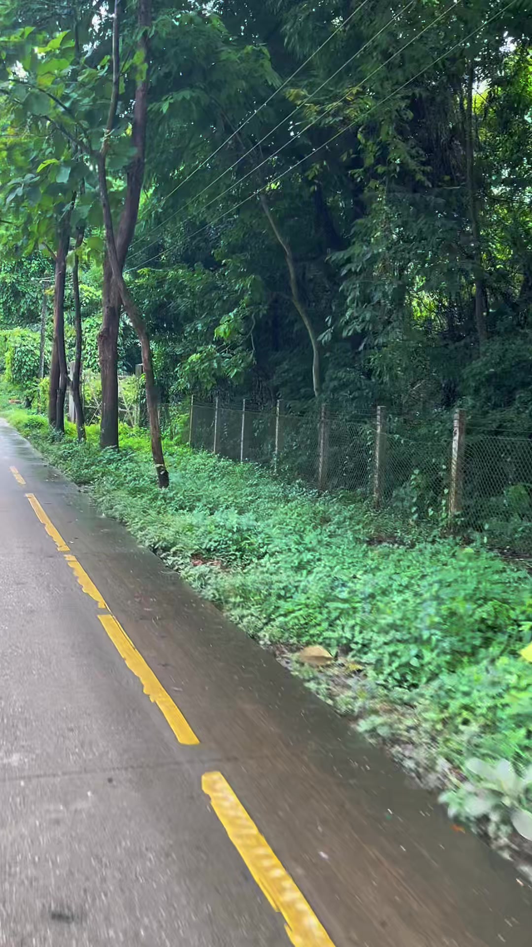@Aung Moe Sann