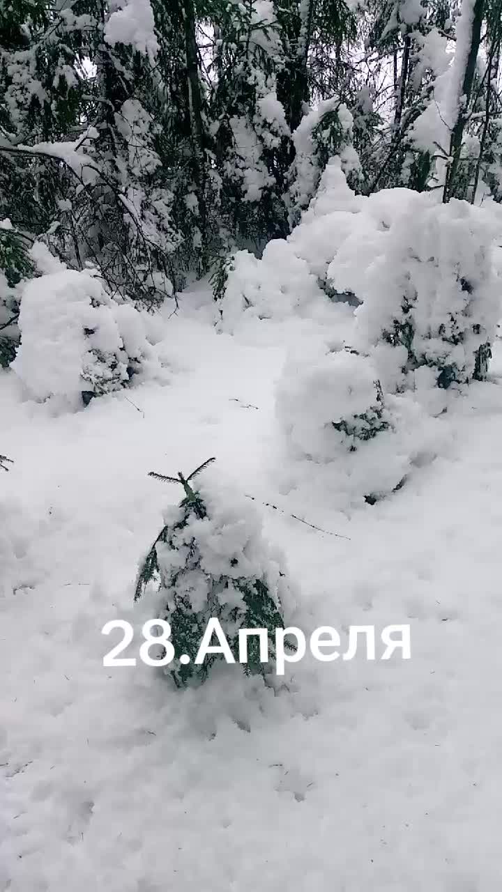@lora17