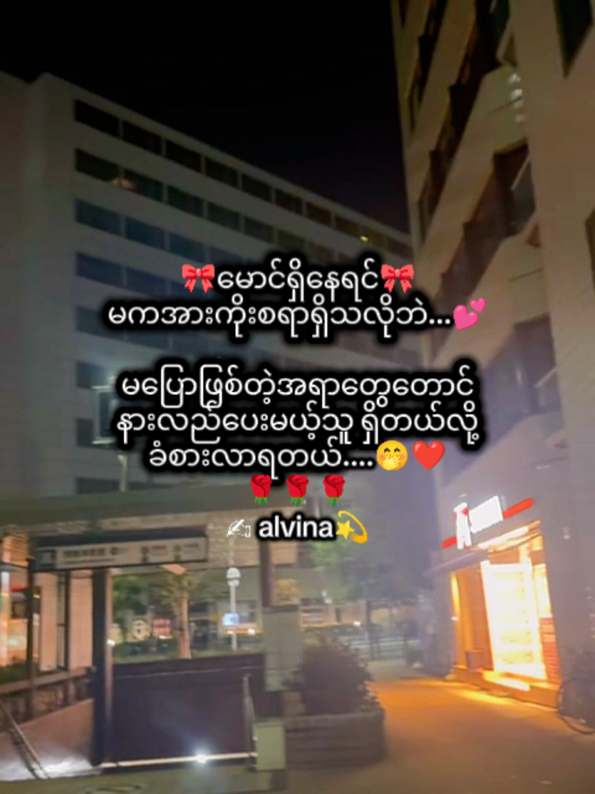 @🇯🇵 Alvina💫(အယ်ဗီနာ)💫🇯🇵