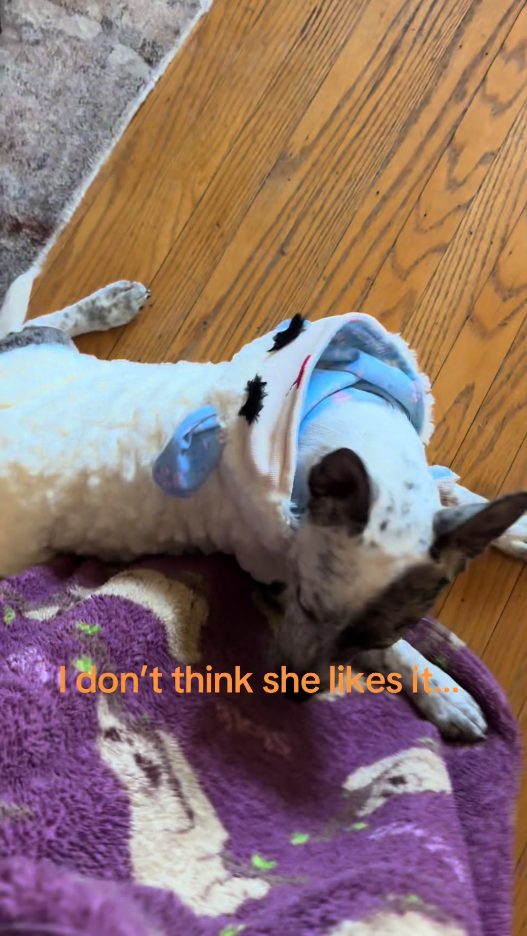 @Quincy and Indie
