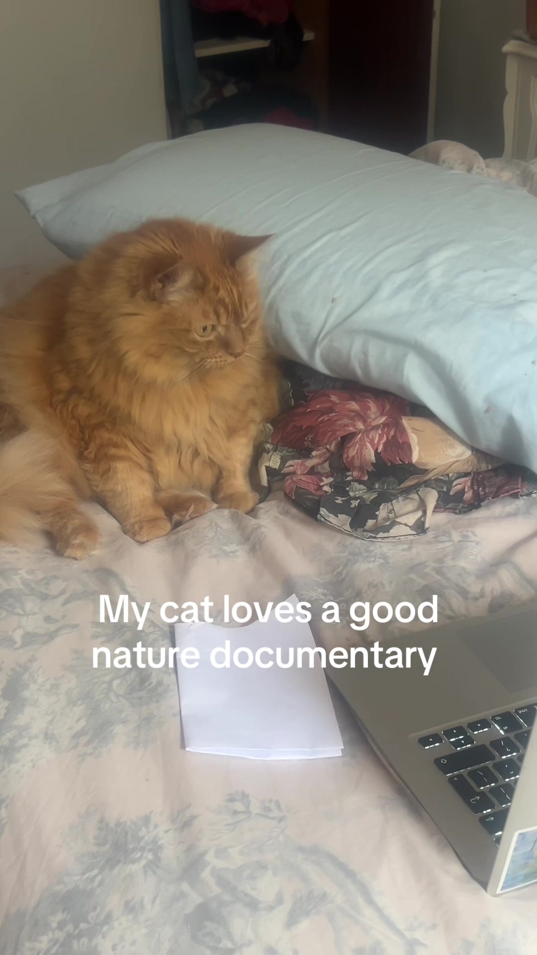 @softlylightly_