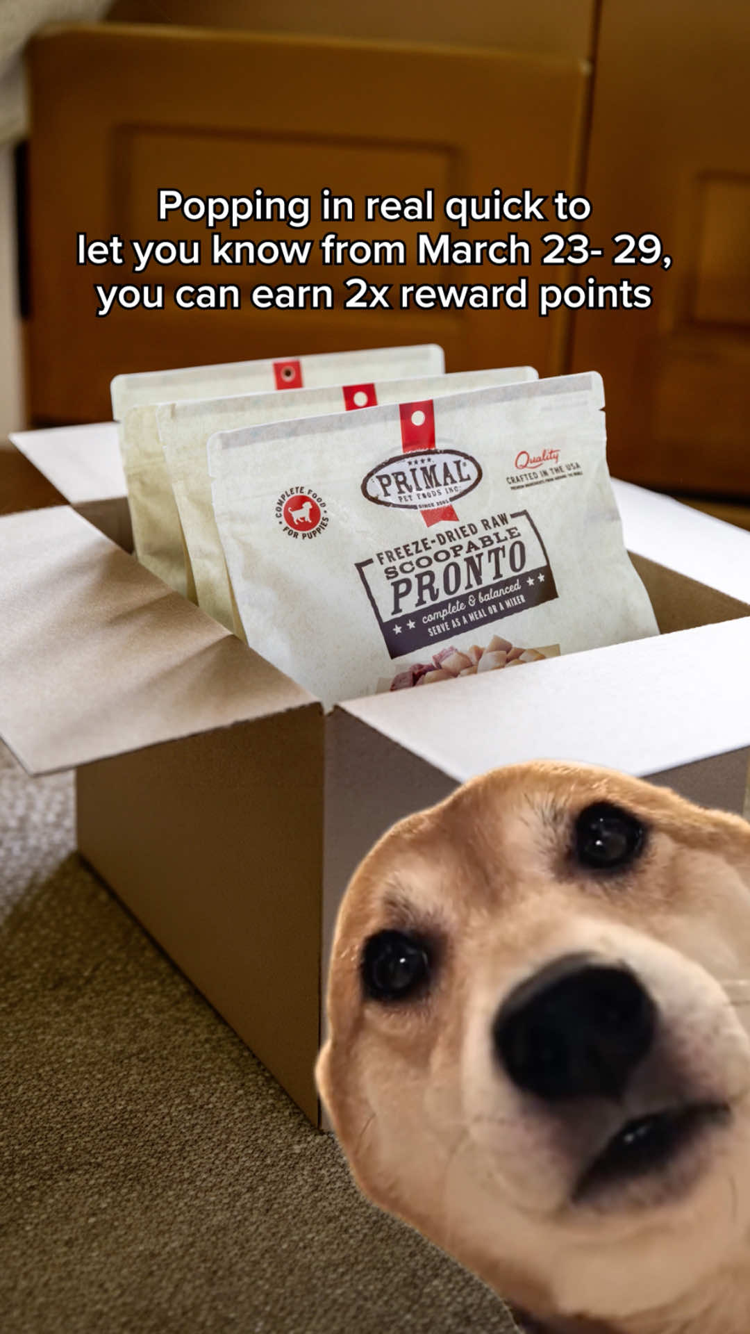 @Primal Pet