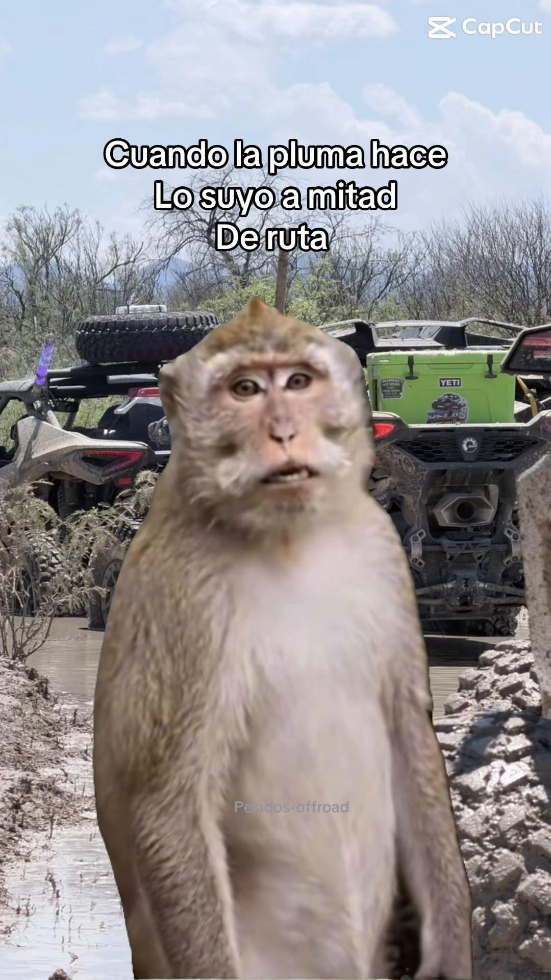 @PELA✌️ offroad