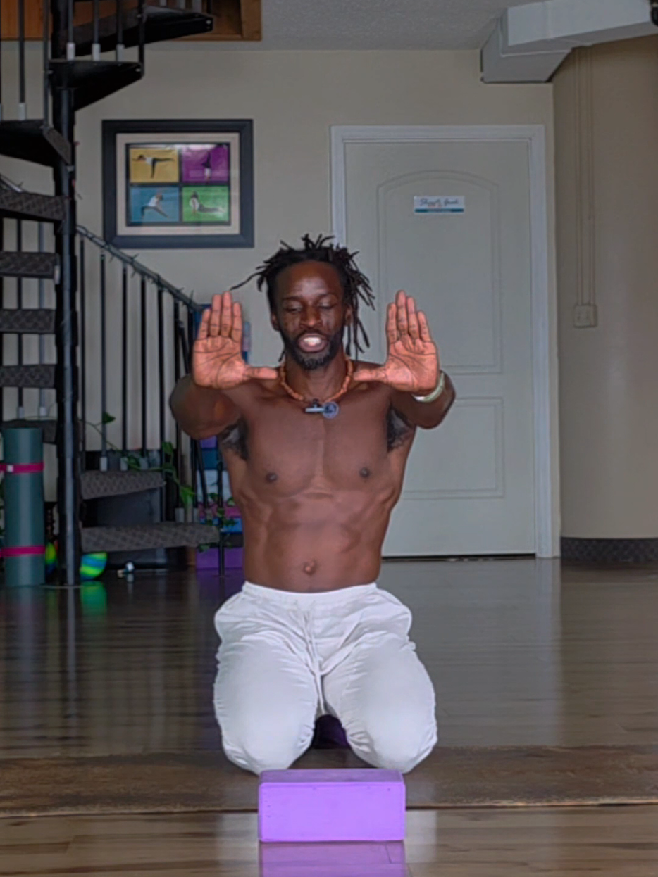 @C.hamp.ionyogi