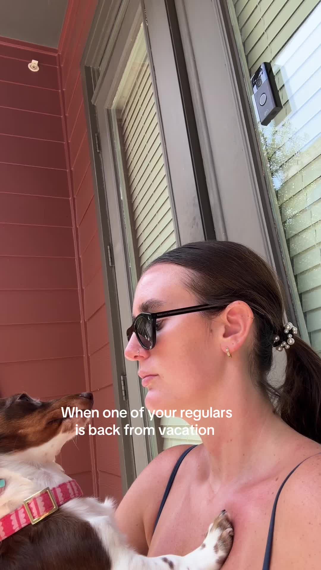 @dallasdogwalker