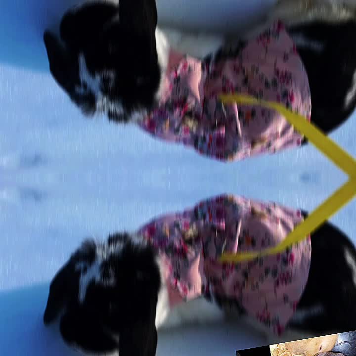 @JesseFinesse67