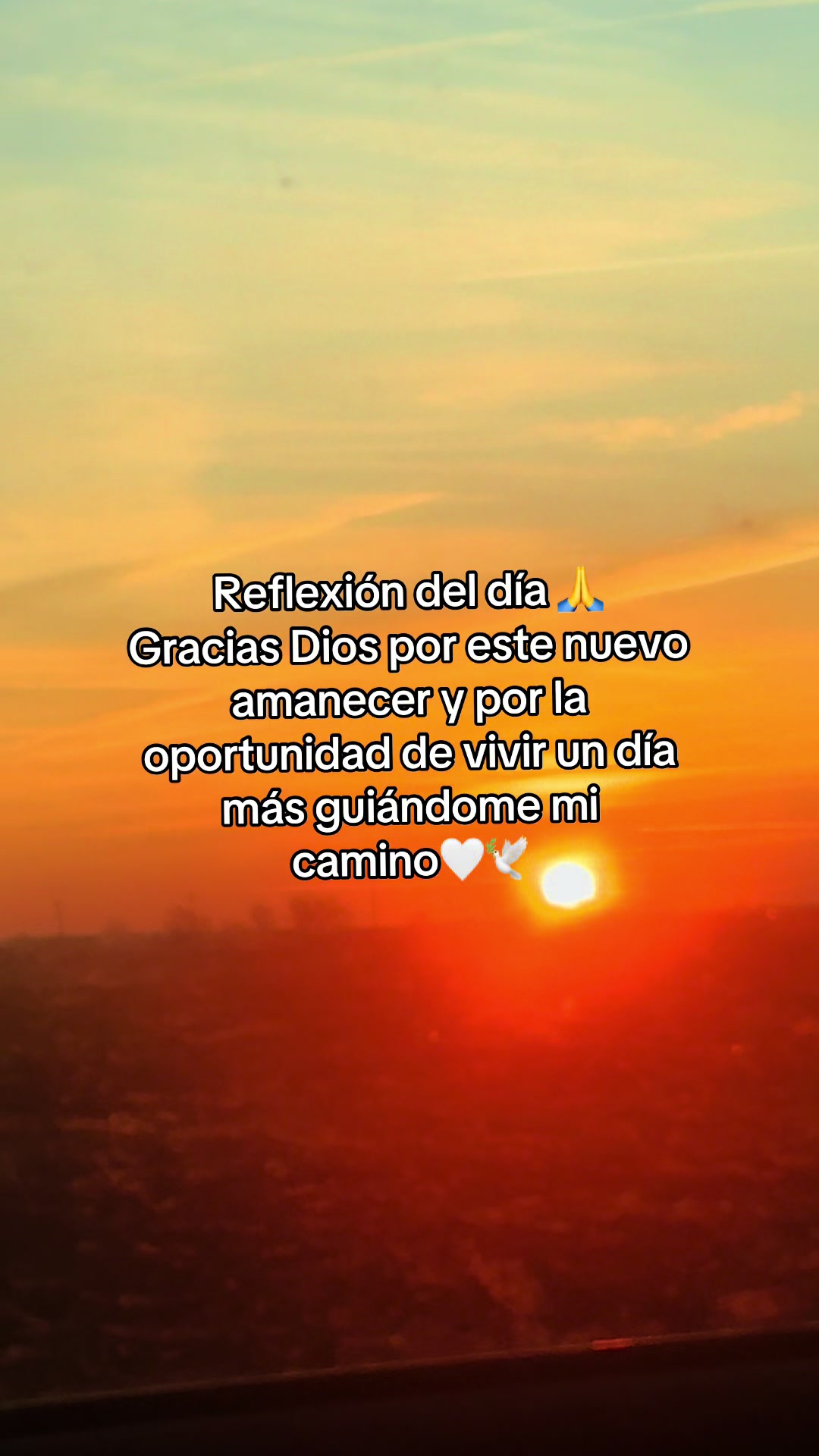 @LUIS HERNANDEZ