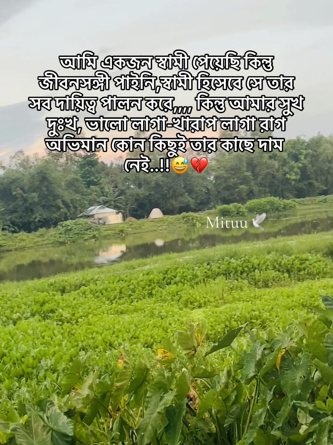@Mituuđī¸đ