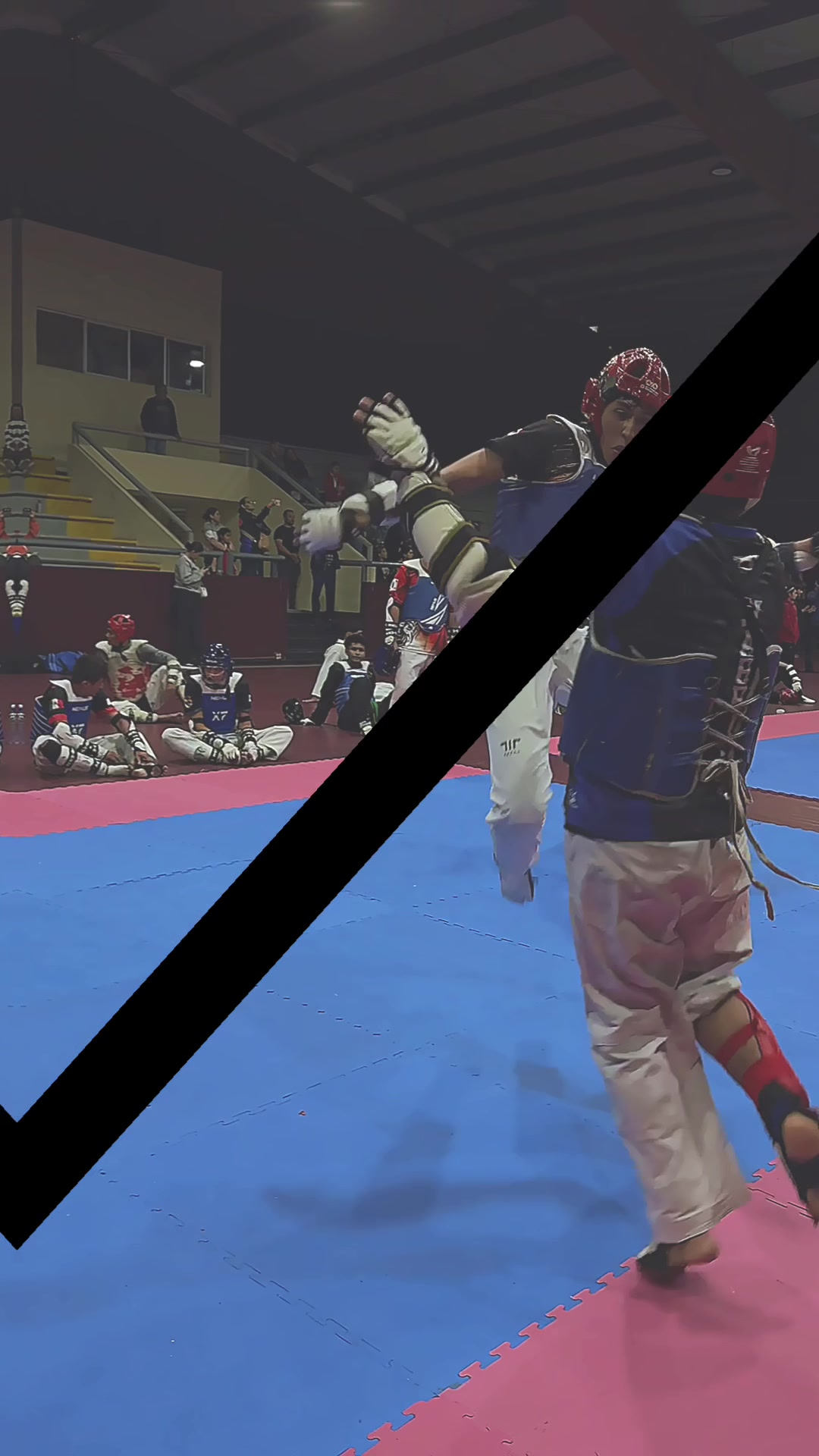 @taekwondolionsteam