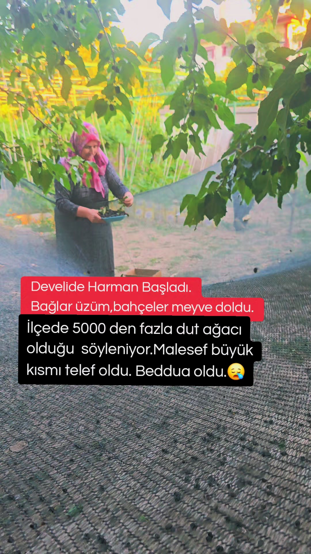 @Develi Burada