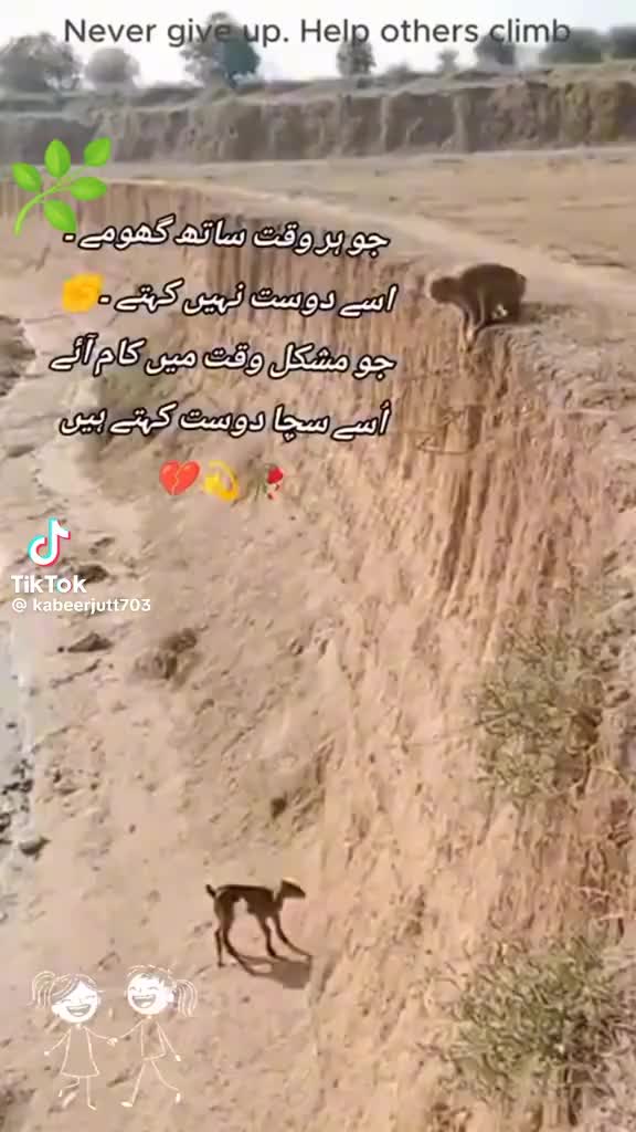 @ustad log