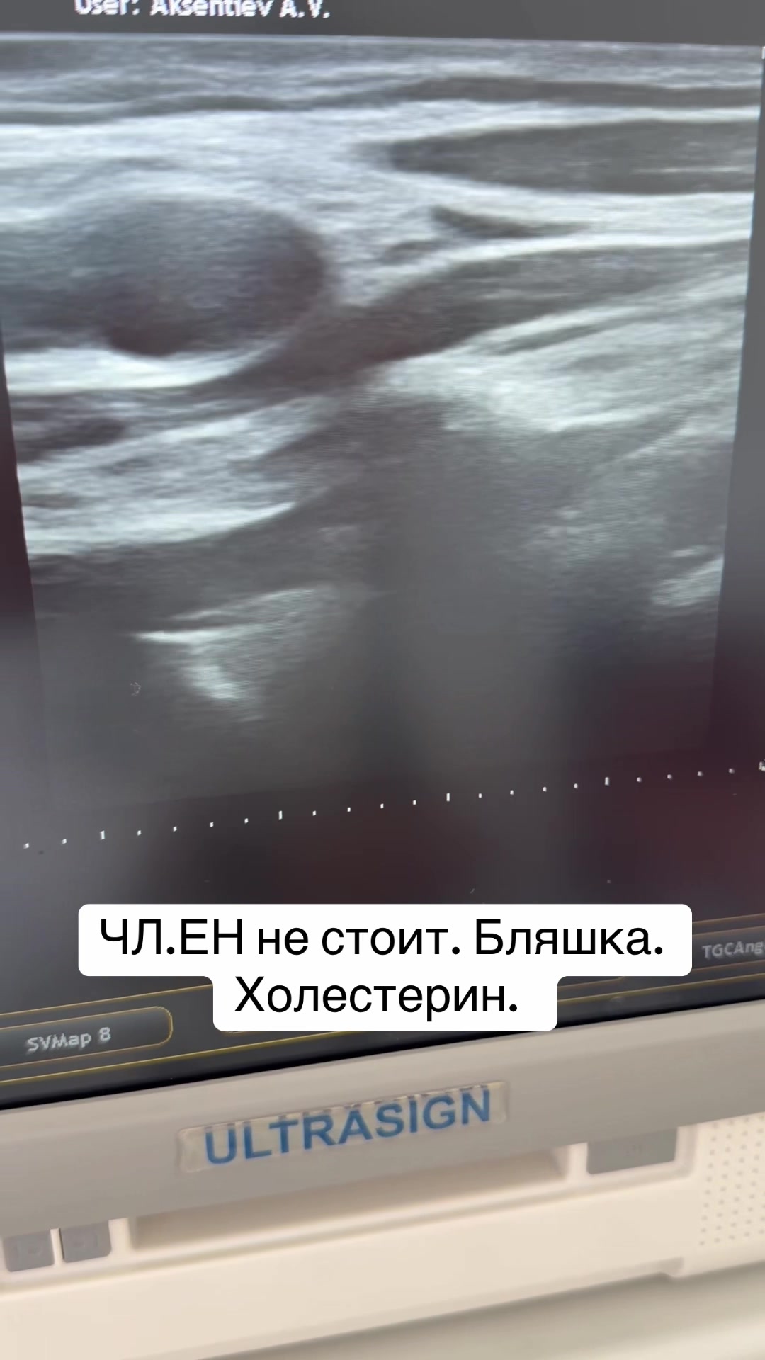 @Kurach Vitaliia Stanislavovna