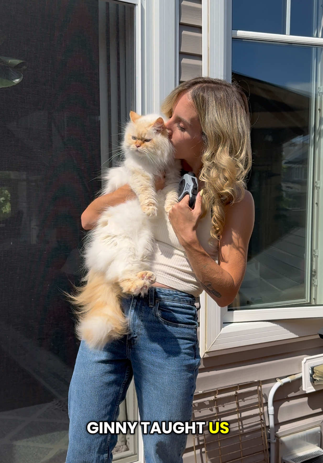 @Krista & Cats: BamBam & Bonnie