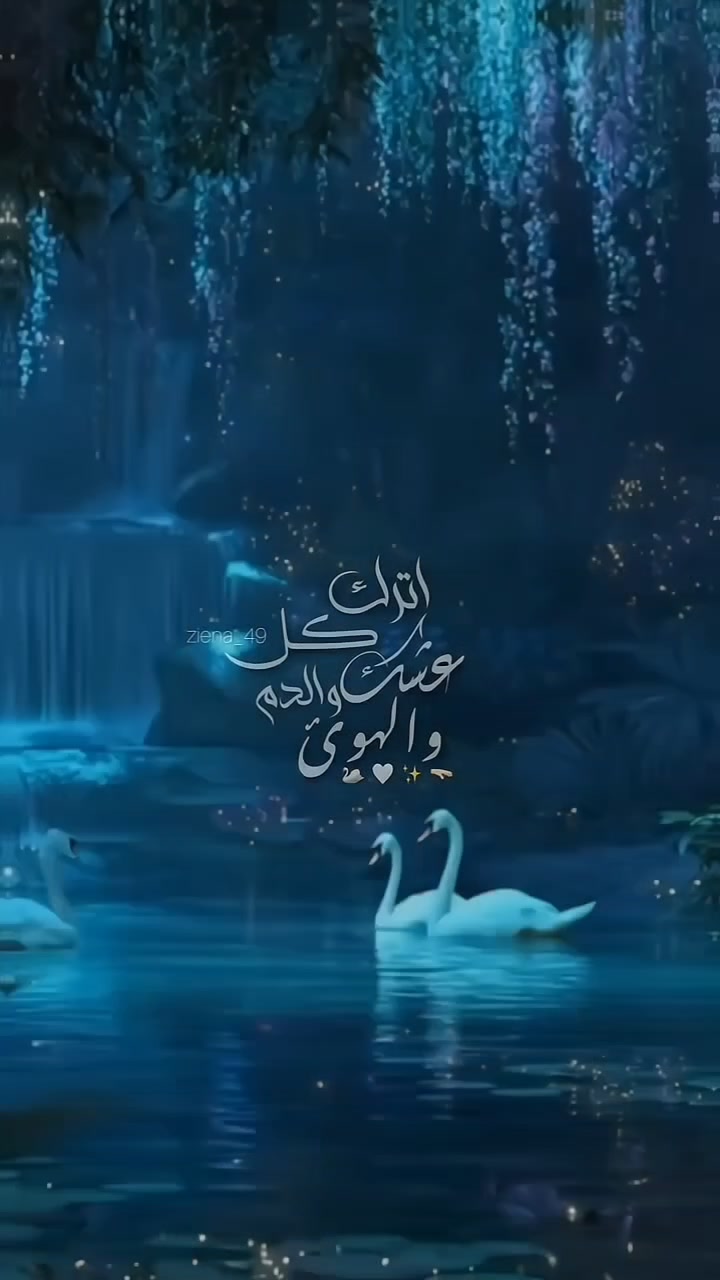 @﮼خاتون النساوين 𓍯.