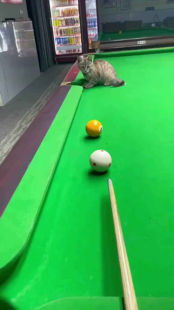 @๐ท๐๐๐๐๐๐ฒ๐๐๐๐