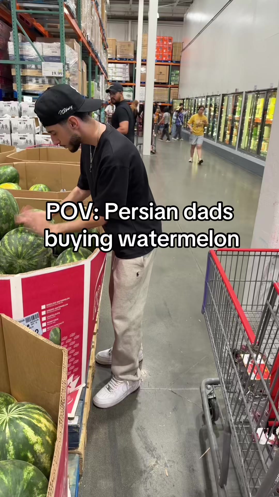 @bsynavid