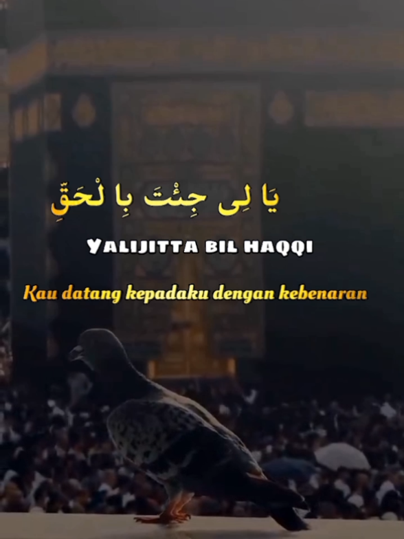 @𝐒𝐲𝐚𝐟𝐚'𝐚𝐭𝐮𝐥 𝐔𝐦𝐦𝐚𝐡