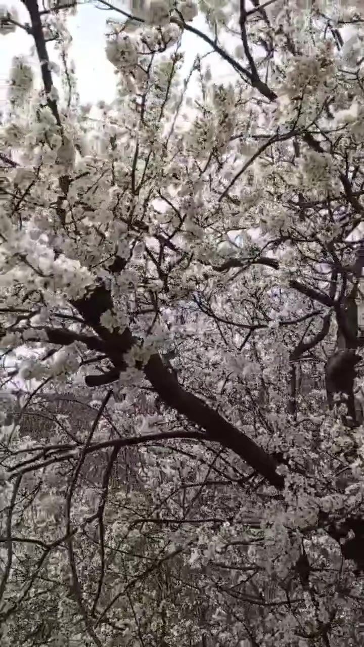 @Çiftliğim Benim