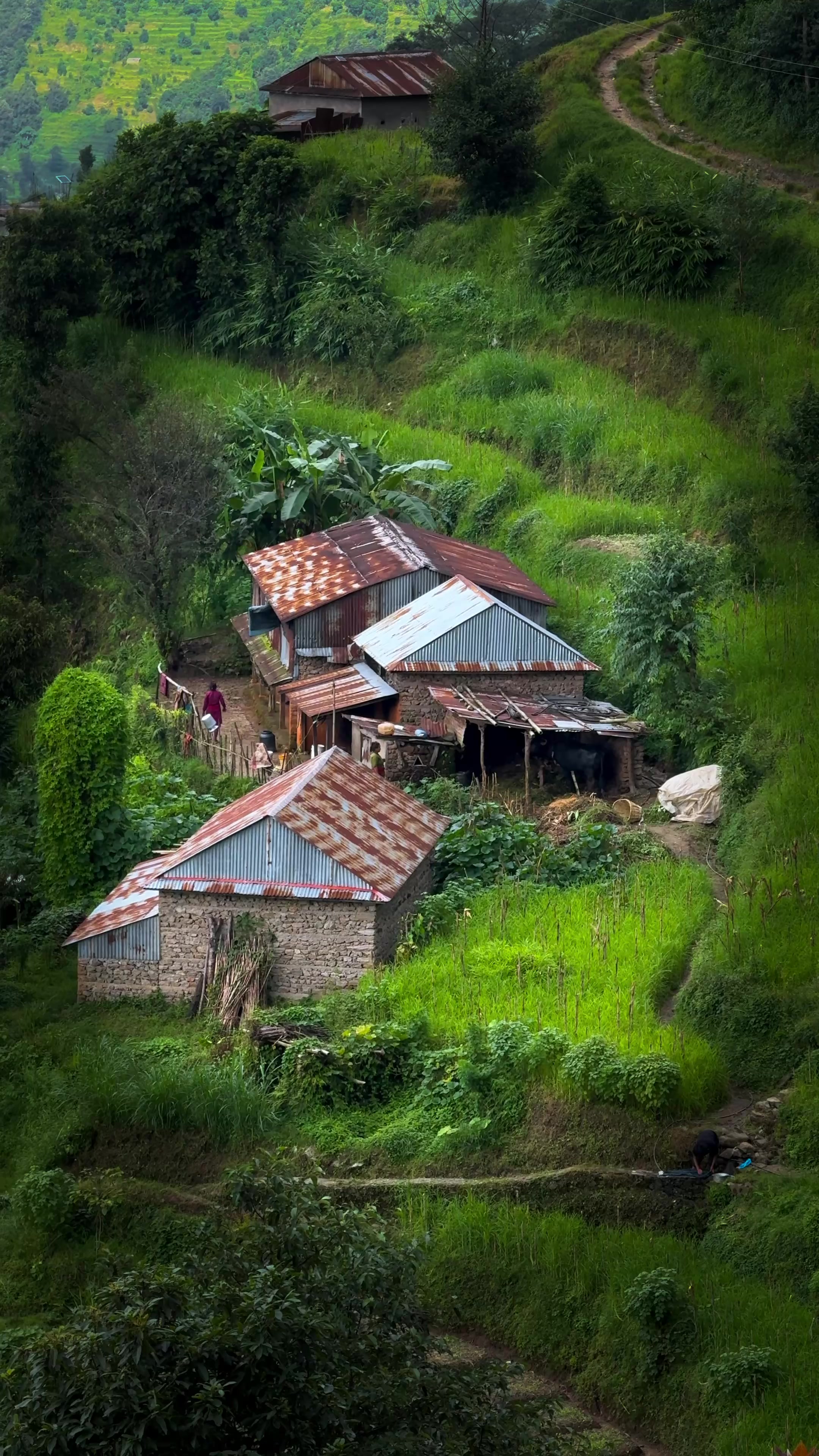 @Sudarshan Neupane