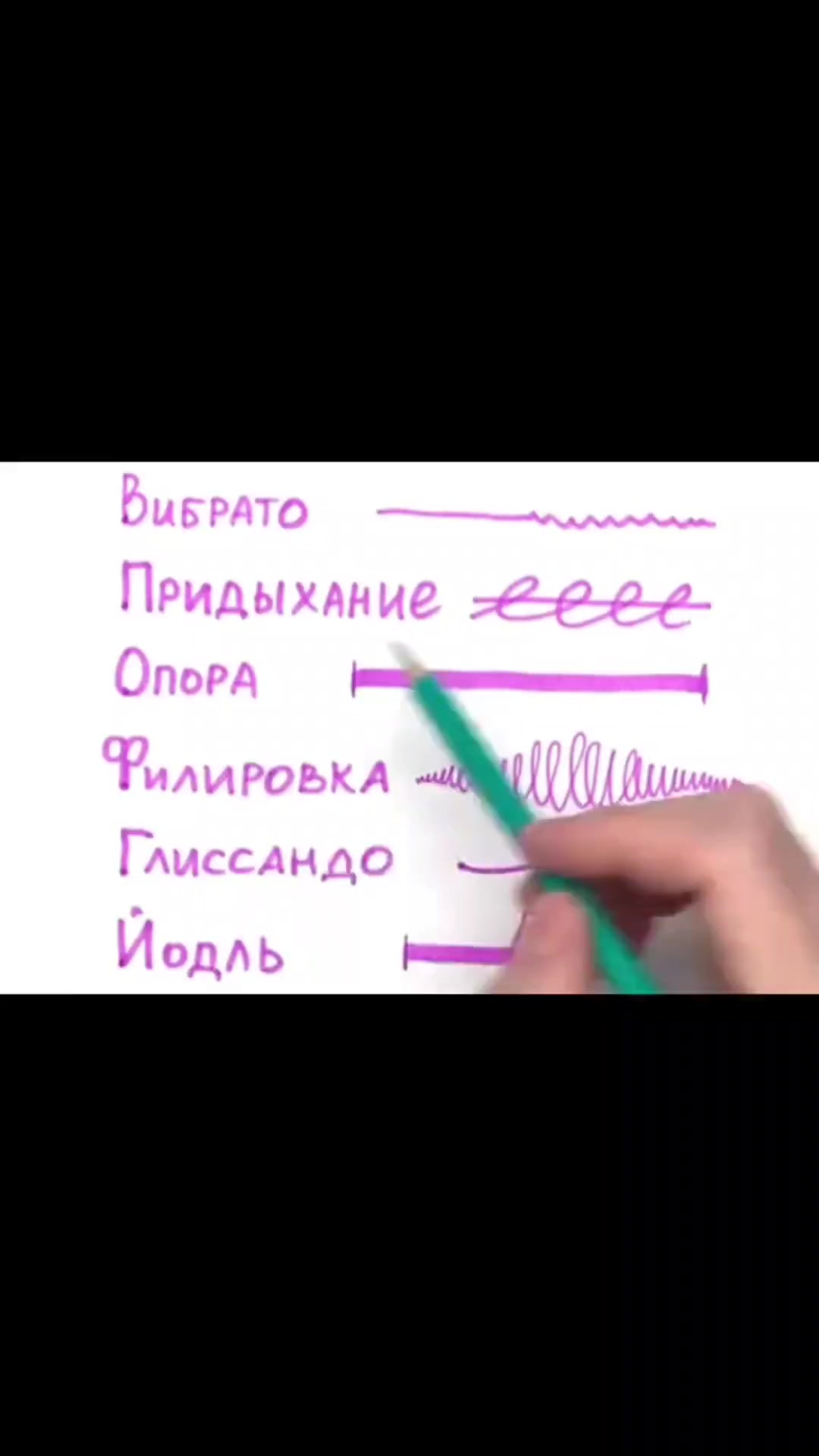 @fatcat
